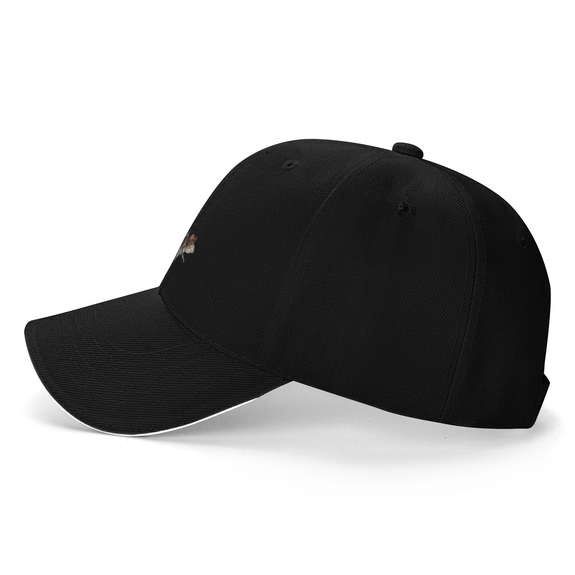 Hot Sale Skydiver Squirrel Sky - Streetwear Brand Sale 评论和价格